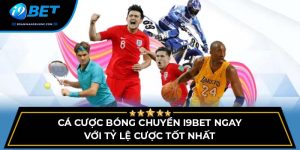 Cá cược bóng chuyền i9bet